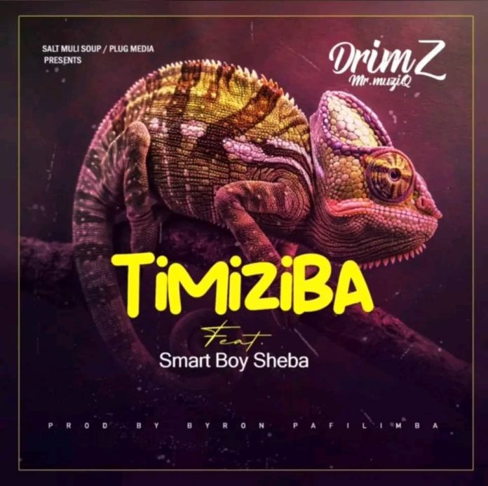 Drimz Ft Smart Boy Sheba ( Timiziba )