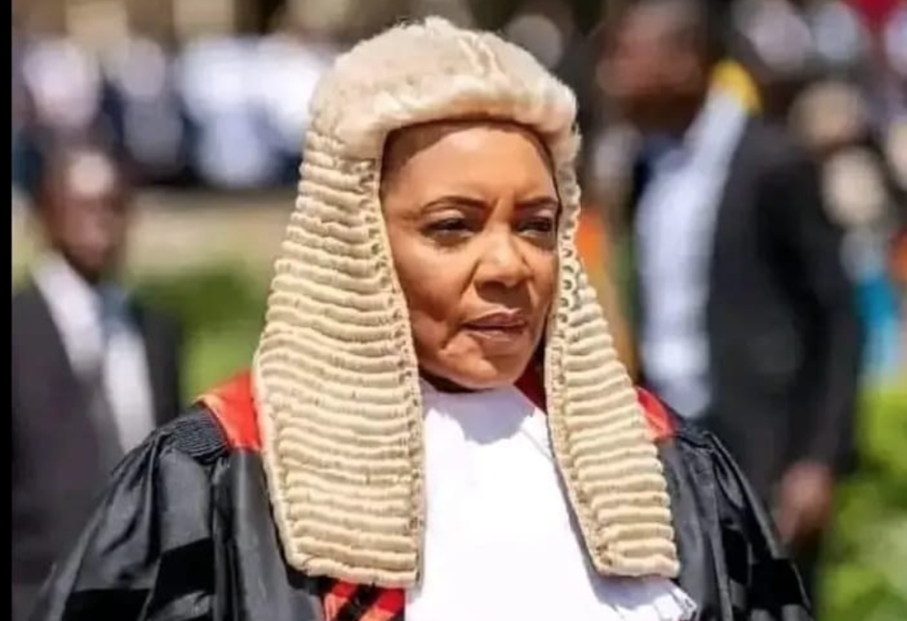 Leave US-Iran war matters to Executive, Speaker guides MPs