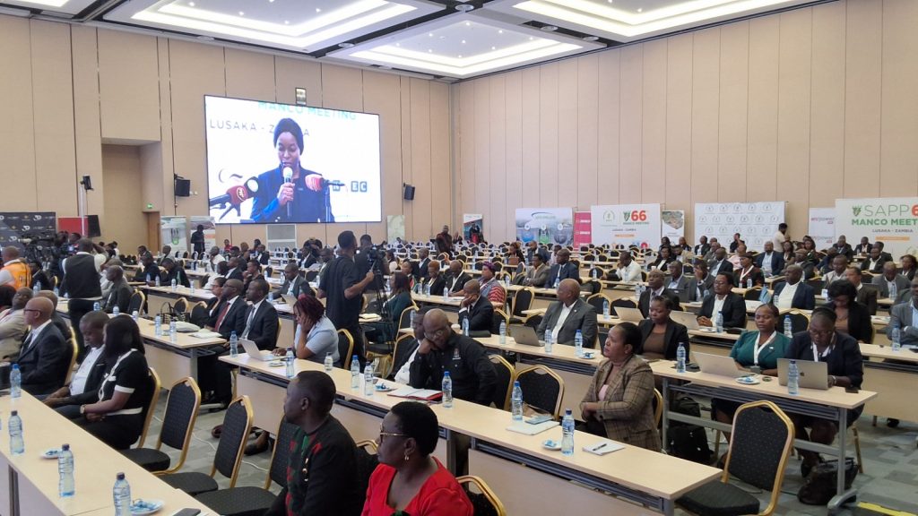 Firm calls on Southern African Power Pool to speed up expansion of regional transmission infrastructure